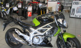 SUZUKI GLADIUS 650
