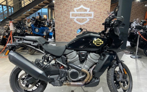 HARLEY-DAVIDSON ADVENTURE PAN AMERICA 1250