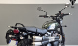 TRIUMPH SCRAMBLER 900 2024