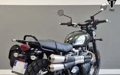 TRIUMPH SCRAMBLER 900 2024