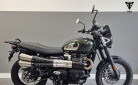 TRIUMPH SCRAMBLER 900 2024