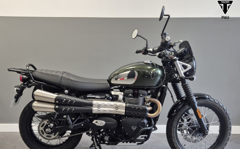 TRIUMPH SCRAMBLER 900 2024