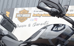 HARLEY-DAVIDSON ADVENTURE PAN AMERICA 1250 SPECIAL