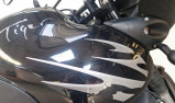 TRIUMPH TIGER 900