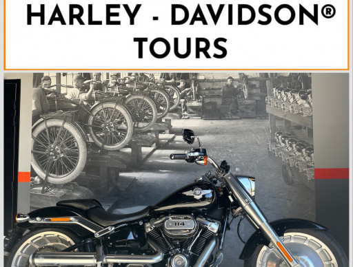 HARLEY-DAVIDSON SOFTAIL FAT BOY 1868