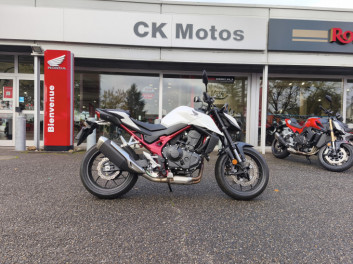 HONDA CB 750 HORNET COLORIS GRIS BLANC MAT