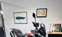 TRIUMPH TIGER 900 RALLY PRO