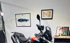TRIUMPH TIGER 900 RALLY PRO