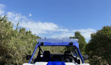 YAMAHA YXZ 1000R