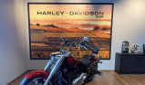 HARLEY-DAVIDSON SOFTAIL FAT BOY 1868