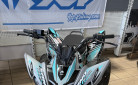 APOLLO MOTORS sand predator 250