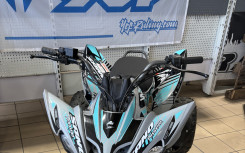 APOLLO MOTORS sand predator 250