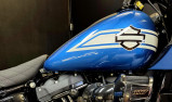 HARLEY-DAVIDSON SOFTAIL LOW RIDER 1923 ST