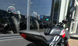 TRIUMPH TRIDENT 660 A2