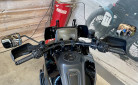 HARLEY-DAVIDSON ADVENTURE PAN AMERICA 1250 SPECIAL