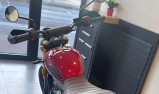TRIUMPH Scrambler 400 X