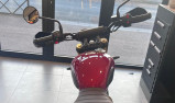 TRIUMPH Scrambler 400 X