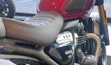 TRIUMPH Scrambler 400 X