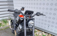 HARLEY-DAVIDSON ADVENTURE PAN AMERICA 1250 2021