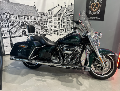 HARLEY-DAVIDSON TOURING ROAD KING 1745 STANDARD CUSTOM PAINT