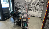 HARLEY-DAVIDSON TOURING ROAD KING 1745 STANDARD CUSTOM PAINT