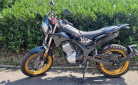 TRAIL RIEJU TANGO 125 SCRAMBLER MOTORS 54
