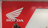 HONDA TLR 200