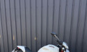 DUCATI MONST.797 / MONSTER 797 / MONSTER797 / A2