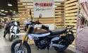 FANTIC CABALLERO 500 EXPLORER