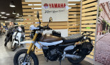 FANTIC CABALLERO 500 EXPLORER