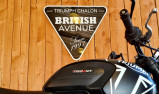 TRIUMPH TRIDENT 660 (A2)