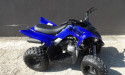 YAMAHA YFM RAPTOR 110