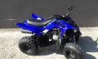YAMAHA YFM RAPTOR 110