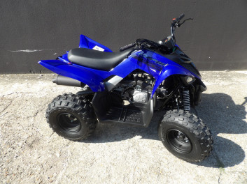 YAMAHA YFM RAPTOR 110