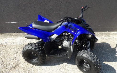 YAMAHA YFM RAPTOR 110