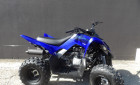 YAMAHA YFM RAPTOR 110