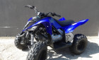 YAMAHA YFM RAPTOR 110
