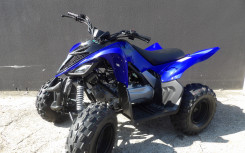 YAMAHA YFM RAPTOR 110