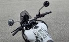 ROYAL ENFIELD 450 HIMALAYAN