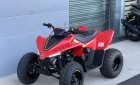 CF MOTO CFORCE 110