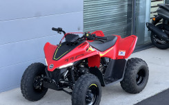 CF MOTO CFORCE 110