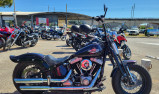 HARLEY-DAVIDSON SOFTAIL SPRINGER CROSS BONES FLSTSB