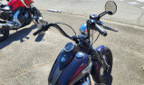 HARLEY-DAVIDSON SOFTAIL SPRINGER CROSS BONES FLSTSB