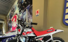 YAMAHA PW50