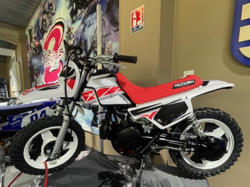 YAMAHA PW50