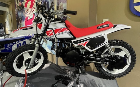 YAMAHA PW50