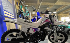 YAMAHA PW50