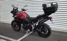 TRIUMPH Tiger 900 GT PRO