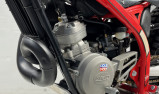 BETA EVO 80 SENIOR  MY22