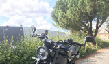 YAMAHA XSR 900